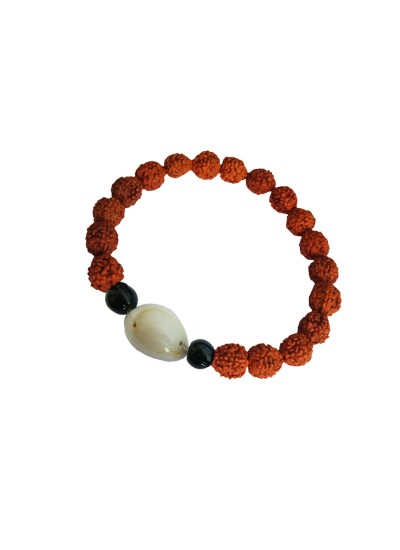 Cowrie Kawadi Charm Rudraksha Bracelet For Men